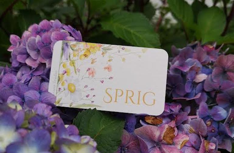 How Does Sprig Tattoo's Pricing Work?