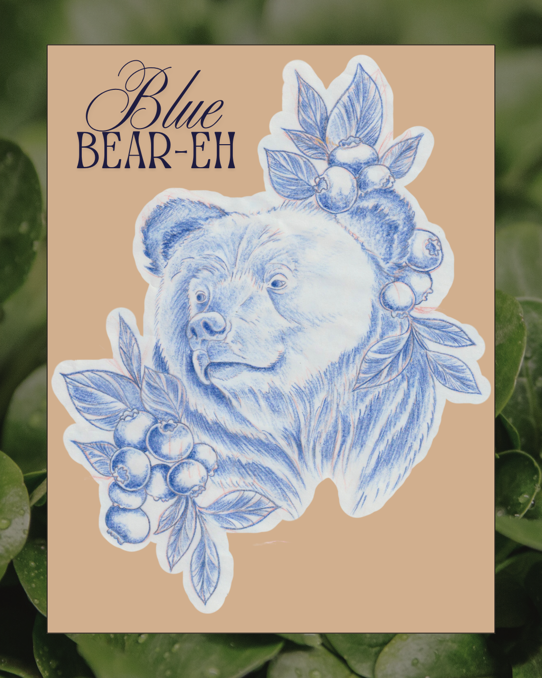 Blue Bear-eh flash design