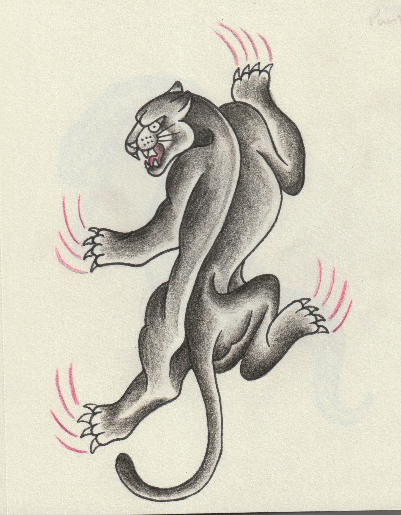 Panther flash design