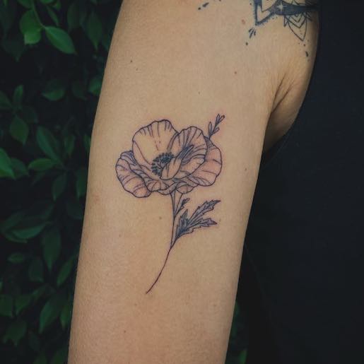 4ce854b2-e52a-4aba-98de-b09da1be4dff